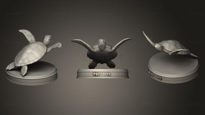 3D model Tortoise (STL)